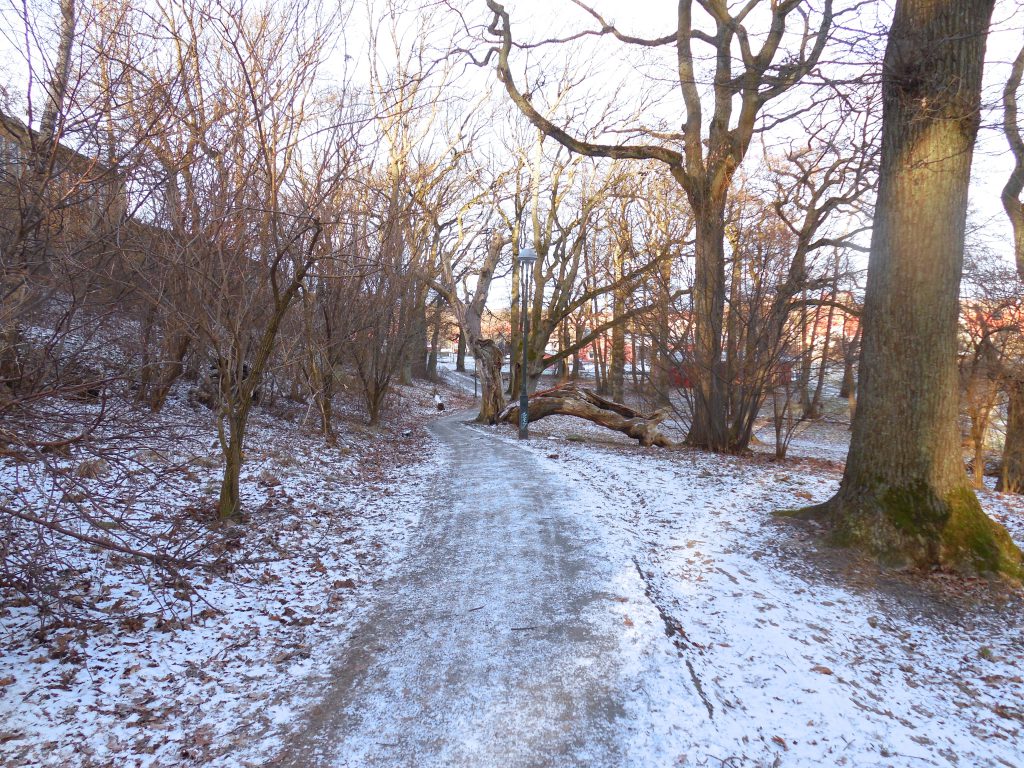 Härlig promenad på Trettondagen