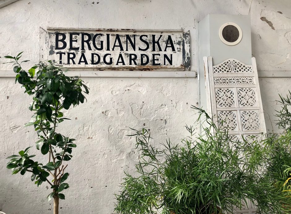 bergianska trädgården cafe